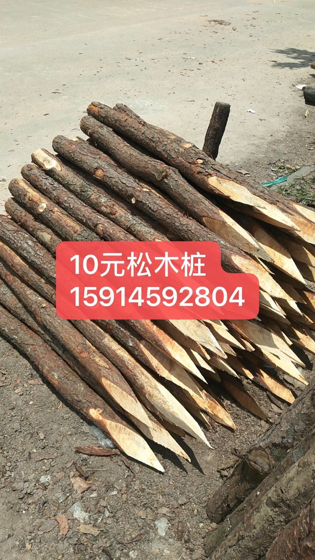 10元松木桩