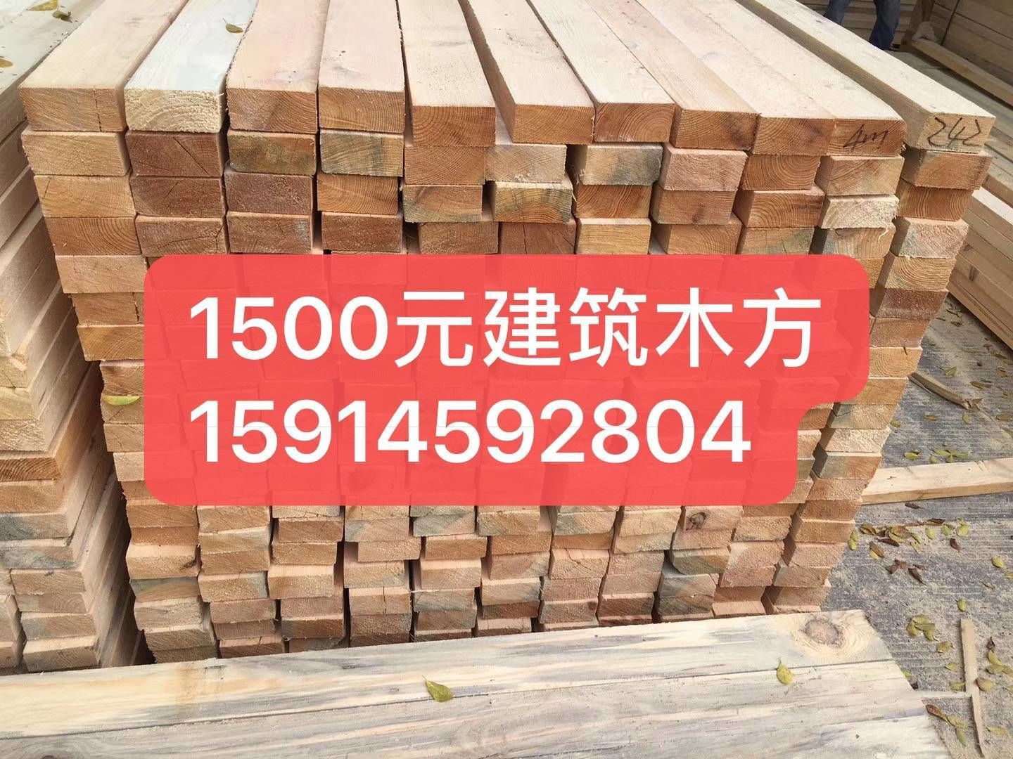 1500松木桩